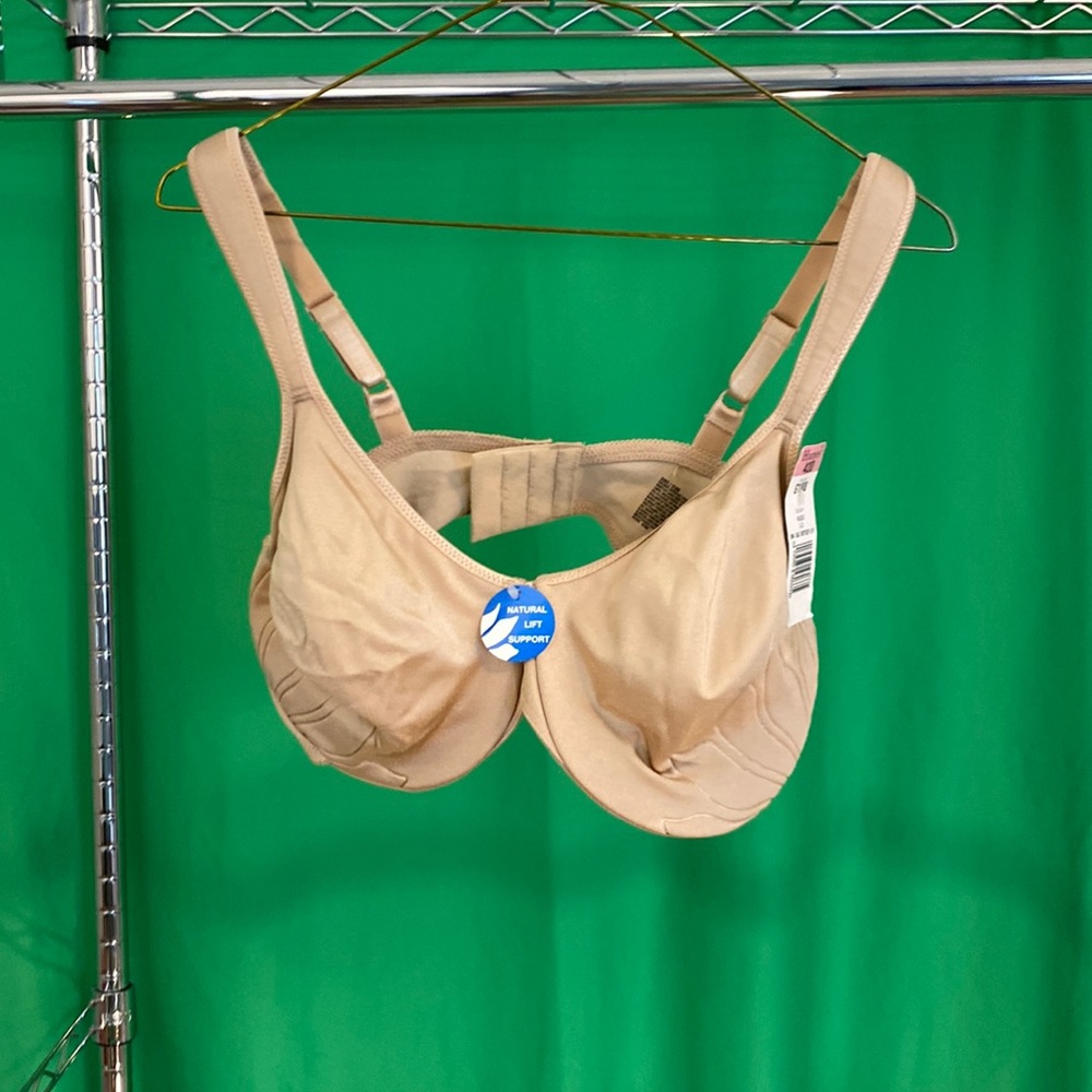 Hanes bra